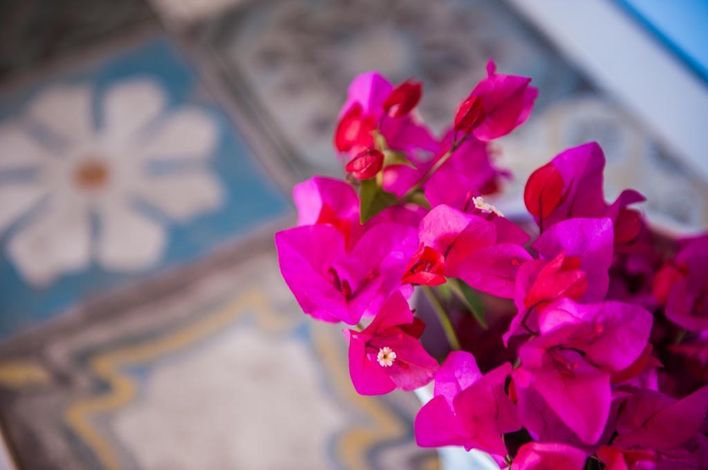 La Pineta Park Hotel Erice Εξωτερικό φωτογραφία